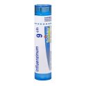 Boiron Influenzinum - Tube Granulés - 9CH