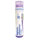 Boiron Magnesia Phosphorica - Dose - 30CH