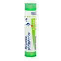 Boiron Magnesia Phosphorica - Tube Granulés - 5CH