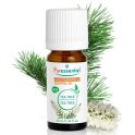 Puressentiel Huile Essentielle Tea Tree Bio 10 ml – Purifie, assainit la peau et fortifie l'organisme