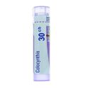 Boiron Colocynthis - Tube Granulés - 30CH