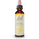 Fleurs de Bach Cerato 20ml – Confiance en son intuition
