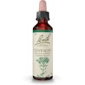 Fleurs de Bach Centaury 20ml – Apprendre à s'affirmer