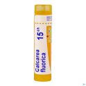 Boiron Calcarea Fluorica - Tube Granulés - 15CH