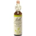 Fleurs de Bach Chestnut Bud 20ml – Apprendre de ses erreurs