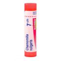 Boiron Chamomilla Vulgaris - Tube Granulés - 7CH