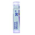 Boiron Valeriana Officinalis - Tube Granulés - 30CH