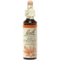 Fleurs de Bach Red Chestnut 20ml – Confiance et sérénité pour autrui