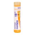 Boiron Arnica Montana - Tube Granulés - 15CH