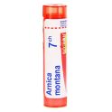 Boiron Arnica Montana - Tube Granulés - 7CH