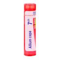 Boiron Allium Cepa - Tube Granulés - 7CH