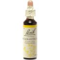 Fleurs de Bach Scleranthus 20ml – Détermination et choix sereins