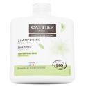 Cattier Shampoing Cuir Chevelu Gras Argile Verte Bio 250ml – Pureté et équilibre