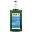 Weleda Déodorant Spray à la Sauge 100ml – Fraîcheur aromatique et tonicité
