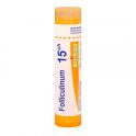 Boiron Folliculinum - Tube Granulés - 15CH