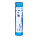 Boiron Iris Versicolor - Dose - 9CH