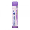 Boiron Staphysagria - Dose - 30CH