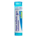 Boiron Hepar Sulfuris Calcareum - Tube Granulés - 9CH