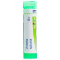 Boiron Actaea Spicata - Tube Granulés - 5CH