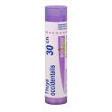 Boiron Thuya Occidentalis - Tube Granulés - 30CH