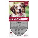 Elanco Advantix Antiparasitaire Chien Moyen 10 à 25 kg - 4 pipettes