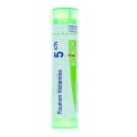 Boiron Poumon Histamine - Tube Granulés - 5CH