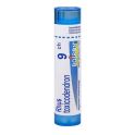 Boiron Rhus Toxicodendron - Tube Granulés - 9CH