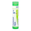 Boiron Chelidonium Majus - Tube Granulés - 5CH