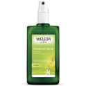 Weleda Déodorant Spray au Citrus 100ml – Fraîcheur et protection naturelle