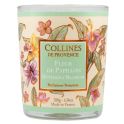 Collines De Provence Bougie Parfumée - 180g - Senteur Fleur de Papillon - Collection Voyages aux îles