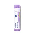 Boiron Monilia Candida - Dose - 30CH