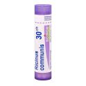 Boiron Ricinus Communis - Tube Granulés - 30CH