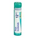 Boiron Thuya Occidentalis - Dose - 12CH