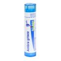 Boiron Ambra Grisea - Tube Granulés - 9CH