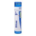 Boiron Silicea - Tube Granulés - 9CH