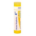 Boiron Calcarea Phosphorica - Tube Granulés - 4CH