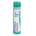 Boiron Phytolacca Decandra -  Tube Granulés - 12CH