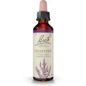 Fleurs de Bach Heather 20ml – Écoute et ouverture aux autres