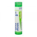 Boiron Valeriana Officinalis - Tube Granulés - 5CH