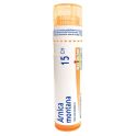 Boiron Arnica Montana - Dose - 15CH