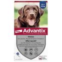 Elanco Advantix Antiparasitaire Grand Chien 25 à 40 kg - 4 pipettes