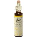 Fleurs de Bach Wild Oat 20ml – Ambition et chemin de vie