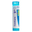 Boiron Cantharis - Tube Granulés - 9CH