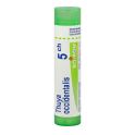 Boiron Thuya Occidentalis - Tube Granulés - 5CH