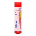 Boiron Silicea - Tube Granulés - 7CH