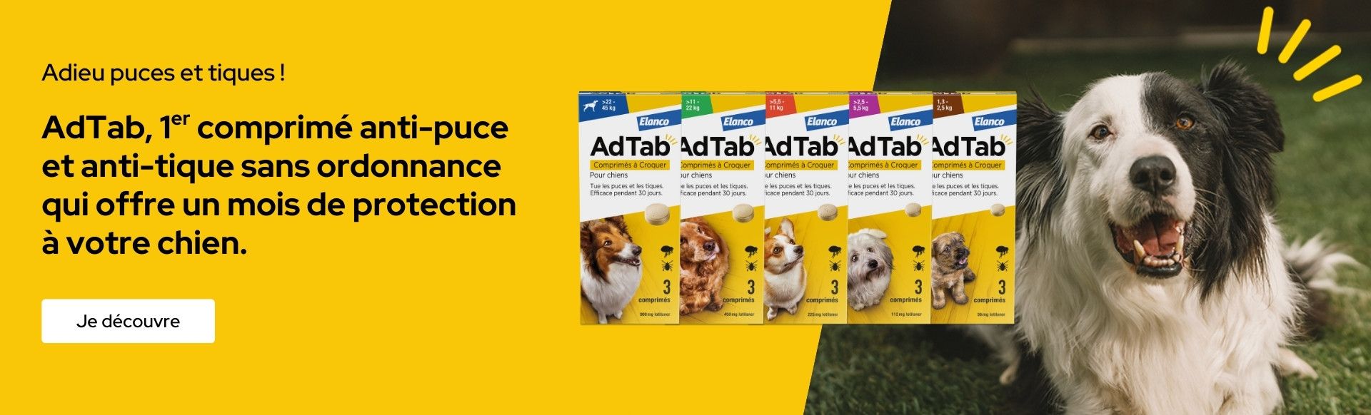 AdTab : Protégez votre chien contre les puces et les tiques
