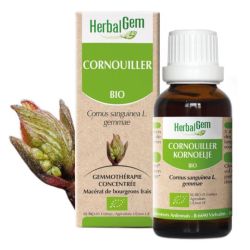 Herbalgem Concentré de Bourgeon Cornouiller Bio - 30ml