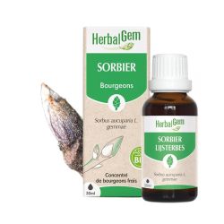 Herbalgem Concentré de Bourgeon de Sorbier Bio - 30ml