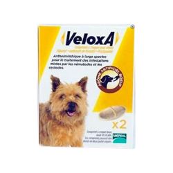 Veloxa Vermifuge Chien - Moins de 17,5kg - Goût Boeuf - Infestations Mixtes - 2 comprimés