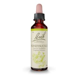 Fleurs de Bach n°16 Honeysuckle - Chèvrefeuille 20ml